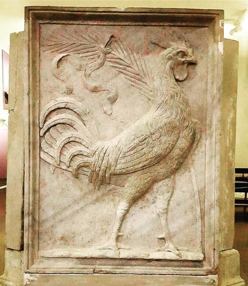 ancientpix:Rooster Relief, Acropolis of Pergamon City, Diadaros Pasparos Memorial Graveyard, Roman P