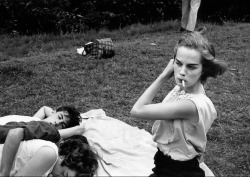  Brooklyn Gang 1959, by Bruce Davidson 