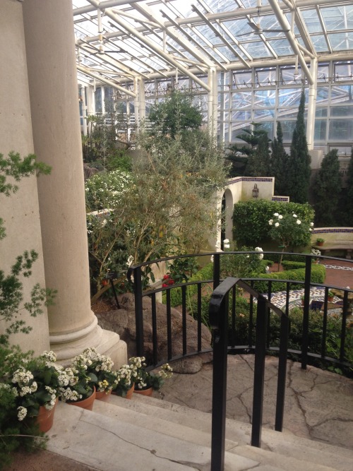 rnouse:st. louis botanical gardens