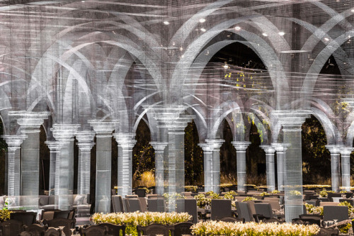 thedesigndome: Stunning Wire Mesh Sculptures by Edoardo Tresoldi Edoardo Tresoldi, an Italy-based ar
