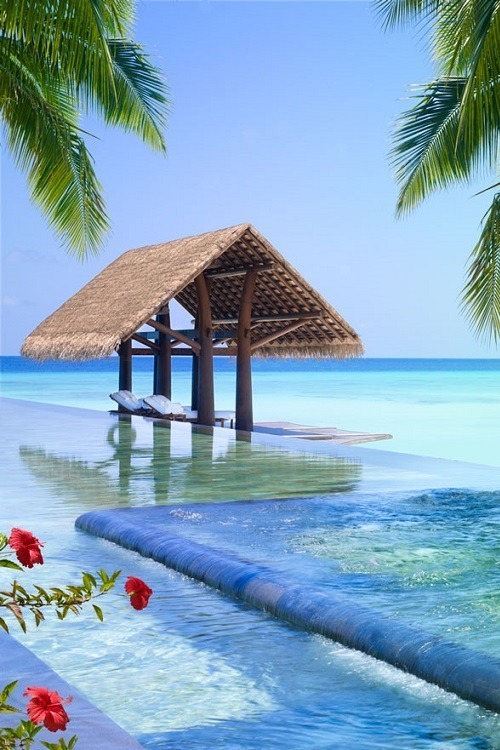 emmiryrai:  Photo http://ift.tt/2kjs0RP http://ift.tt/2joVdqj………… http://ift.tt/2yf2qV3