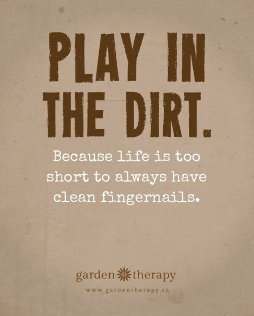 peonyandbee:Garden Therapy