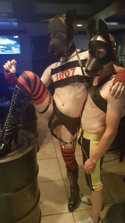 pupboy-mal:  Sir gave me his drag boots to wear at the bar tonight! Got to pull around my pup brother as well!