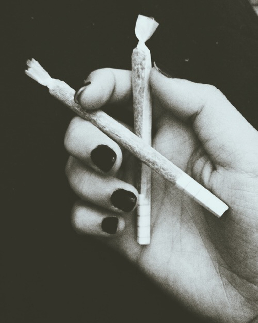 kushupmagazine:  🚀 how high? 😋