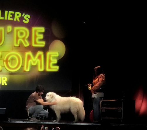 that-flute-girl:Also Mamaplier brought Lucy on stage and it was amazing 11/10 good Pupper