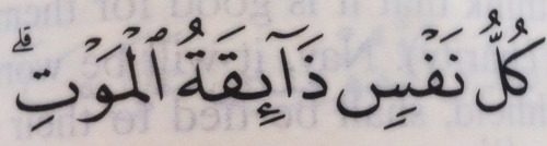 forebidden:  sintire:Click here to enter into a teenage boys mind “Every soul shall taste death”
