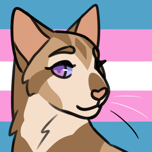 berrym00n: pride batch #8bisexual half moon, nonbinary scourge, bisexual blackstarbigender / bisexua