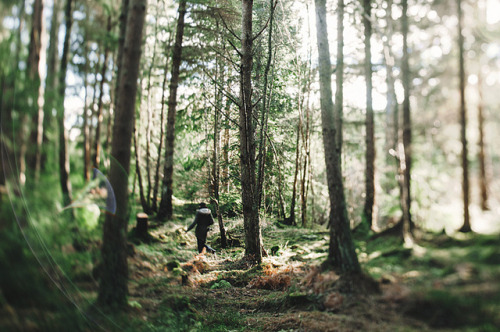 Porn photo aphelia: The Forest by ardemonia . on Flickr.