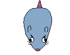 Everyone Post This Rat