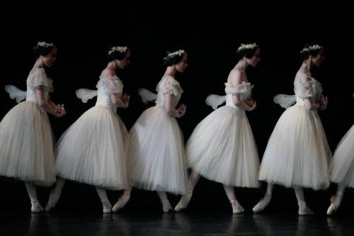 ghostlywriterr - Paris Opera Corps de ballet in Giselle.