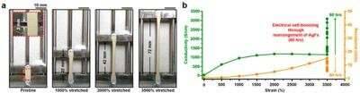 Team develops new material for wearable devices able to restore conductivityThe research team of res