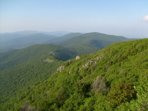 spatheandspadix: Enjoy these photos from my trips to Shenandoah in honor of NPS being ungovernable a