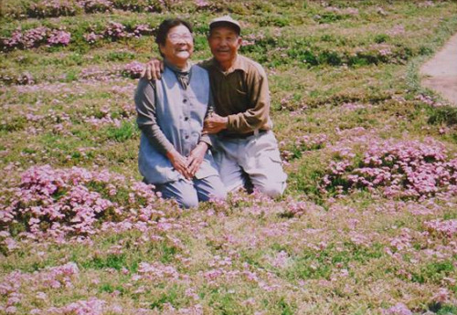 love:This loving husband spent two years planting thousands of flowers for his blind wife to smell. 