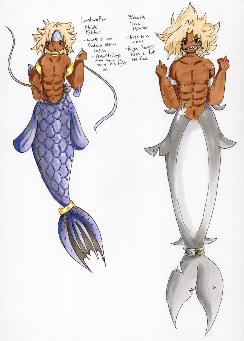 Hikari’s, Yami’s and Anzu’s Merfolk designs-The bottom combined image is a height comparison-Separat