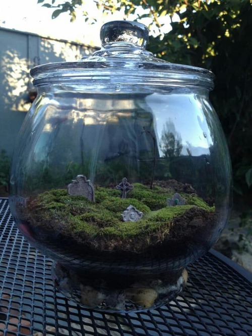 electronicgallery:Graveyard terrariums2. Nicole Rimel