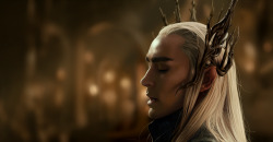 chiltonomics:  gandalf-in-the-tardis:  dominocanine:  Here it is, my final piece. I missed out some details on Thranduil’s crown, but, you know… Time limits. (This was done in 7 hours, if you’re curious.) Hooray for Elf hair!  hold up is this a