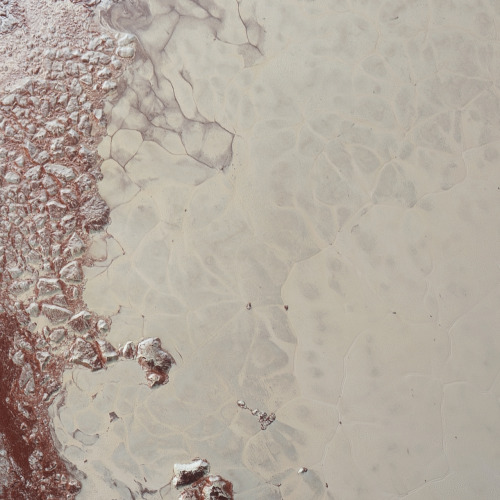 skunkbear:
“ This is one slice of an incredible high resolution, enhanced color image of Pluto, recently released by NASA. You can see the full, larger version here.
Credit: NASA/JHUAPL/SwRI
”