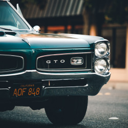 automotivated:  GTO nose. (by andrew_austin)