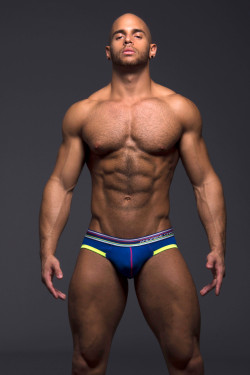 menandunderwear:One of the new 2015 underwear