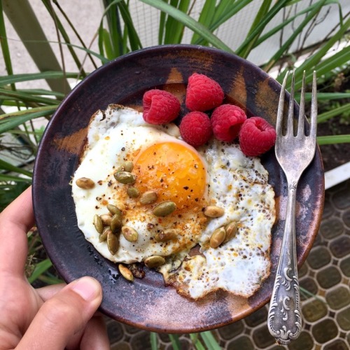 Fried egg with toasted pepitas, Moroccan seasoning + fresh raspberries 