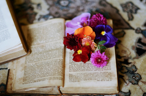 ollebosse:  books