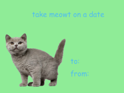 lumin4nce:someone needs to stop mevalentines that will make ppl (or cats) like you (part 6/???)disclaimer