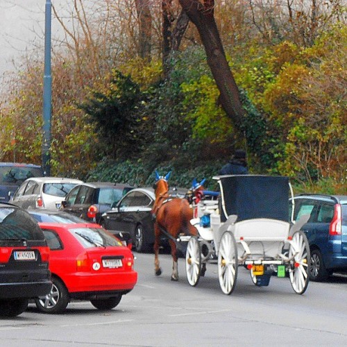  and then there was a horse carriagehttp://villacollezioneboutique.com/ 