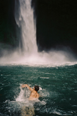 phatted:  stored-snapshots:  (by Harley Weir)  TumbleOn) 