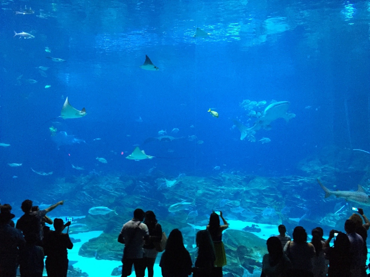 waytoobasic:  i could’ve fallen in love here so fast 