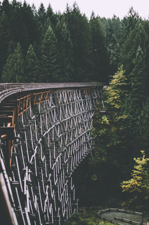 29b:  photo by Deep Love Photography