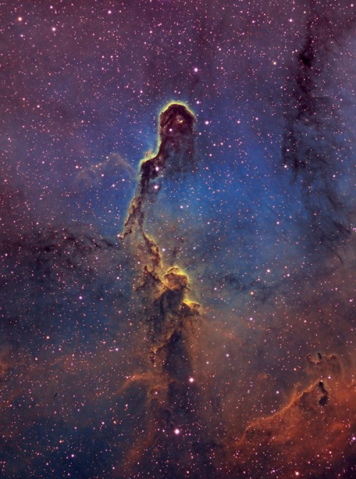 thedemon-hauntedworld:IC 1396 Elephant Trunk by Bill Synder