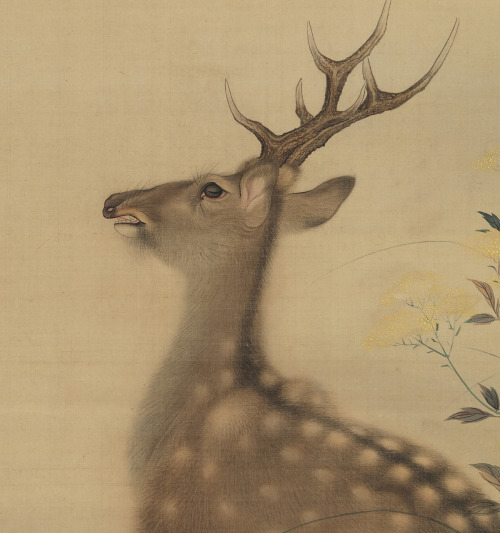 Mori Sosen, Stag amid Autumn Flowers, detail of a Hanging…