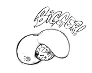 mike-peace:  Draw Mokie. She requested it almost a month ago, but I’m really lazy,