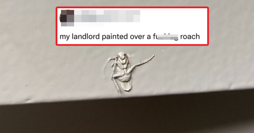 pleatedjeans: Tenants Are Shaming Their Bad Landlords In This Online Group (NEW PICS)
