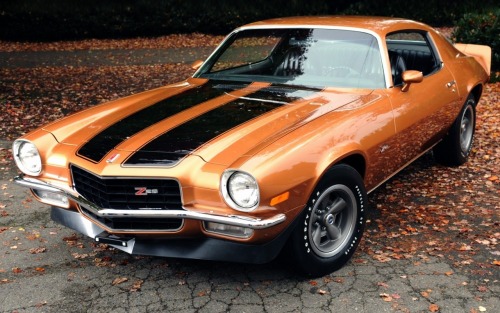 musclecarsfans:  Follow For Muscle Cars Everyday