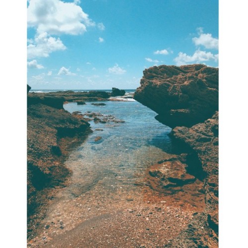 My private little pool by the sea #caesarea #nature #vscam #vscocam #vscoism #israel #instatravel (a