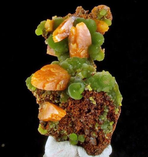 Wulfenite and mimetiteLead ores produce some beautiful minerals, especially in the oxidised zones of