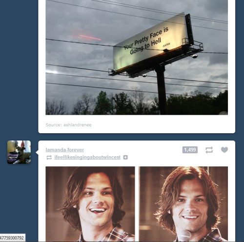 museumgrack:  So this just happened on my dash guys