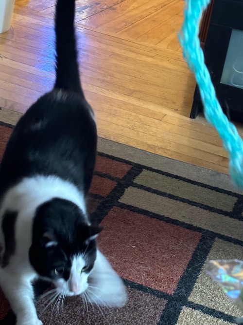 I Think He Likes The Gift I Made For Him :3