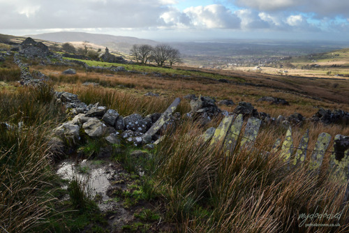 Cae'r-gors And Cerig-y-nyth