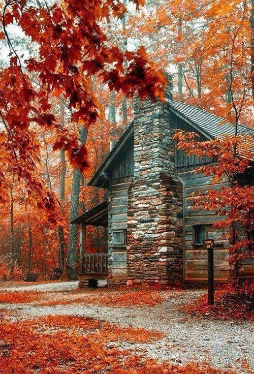 mistymorrning:  http://imgfave.com