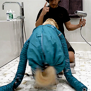 lum1natrix:  the things Chica does for her human