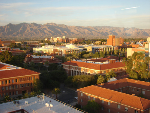 Arizona state university porn