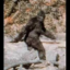 bigfoots-biggest-fan