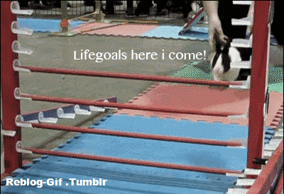 funny-gif-1:  Other Funny Gİfs http://funny-gif-1.tumblr.com/