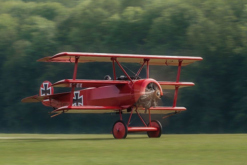 beautifulwarbirds:  