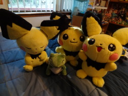 pacificpikachu:  1/1 scale Pichu brothers