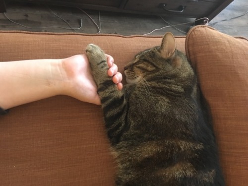 coffeecakecafe:Micah likes to hold my hand when he takes naps