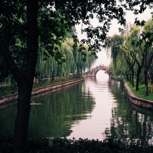 baoputang365:Day 802 2016.07.01 Hangzhou West lake, summer rain, oolong tea. 西湖 夏雨 乌龙茶 