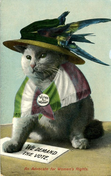 a postcard from the alice k. marshall women’s history collection